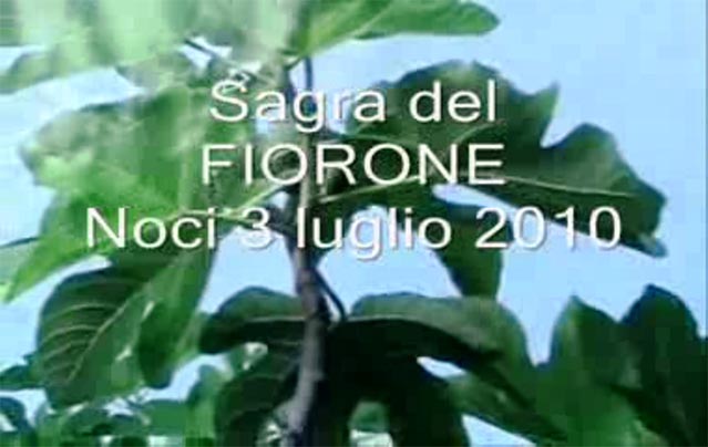 Sagra del Fiorone (3 Luglio 2010)